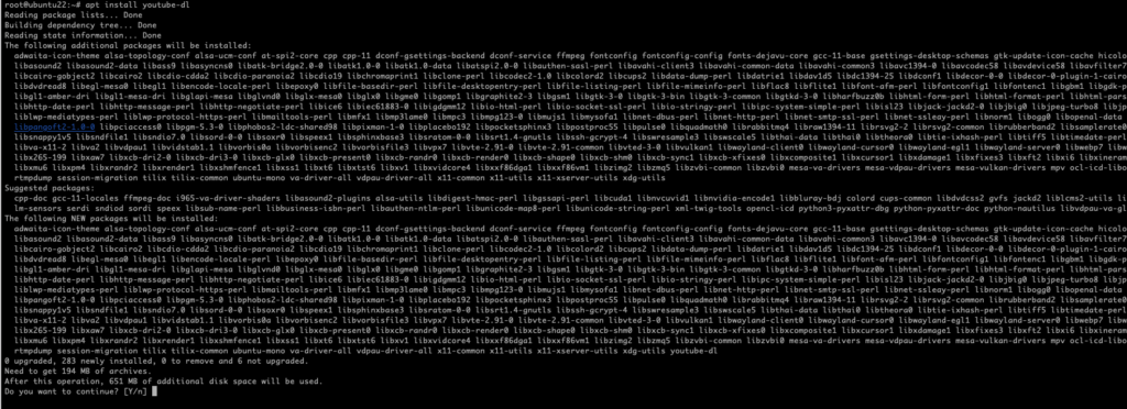 Befehlsausgabe der Installation vom Youtube-Downloader im Linux-Terminal