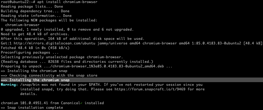 Befehlsausgabe der Installation vom Chromium-Browser im Linux-Terminal
