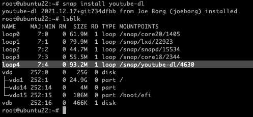 Befehlsausgabe der Installation vom Youtube-Downloader im Linux-Terminal