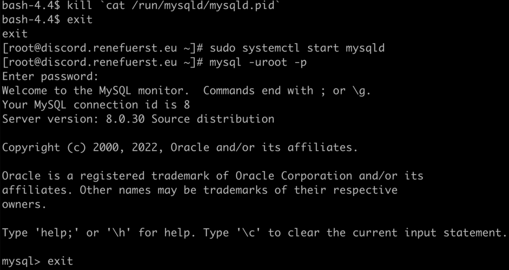 Befehlsausgabe der Anmeldung auf einem MySQL-Server im Linux-Terminal